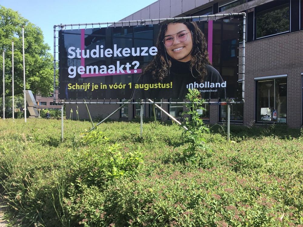 Buizenframe staand enkel